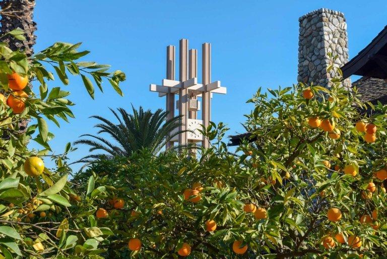 Clock Tower looms in the background in front of orange trees